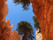 Bryce Canyon