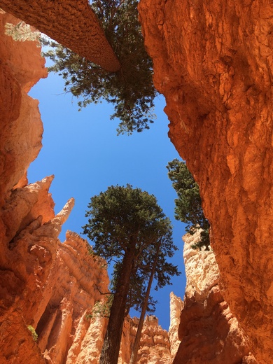 Bryce Canyon