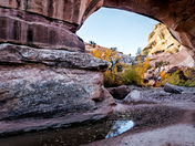 Natural Bridges National Monument