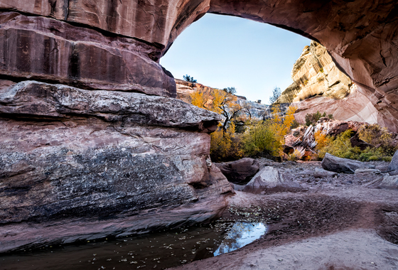 Natural Bridges National Monument