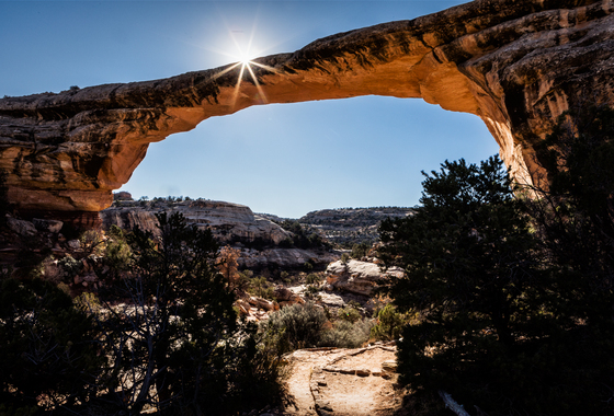 Natural Bridges National Monument