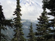 Mount Rainier National Park