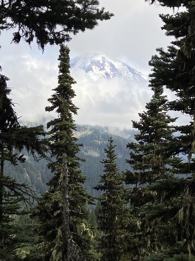 Mount Rainier National Park