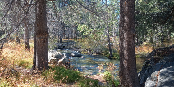 Donner Memorial State Park