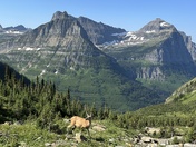 Glacier National Park 