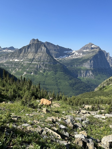 Glacier National Park 