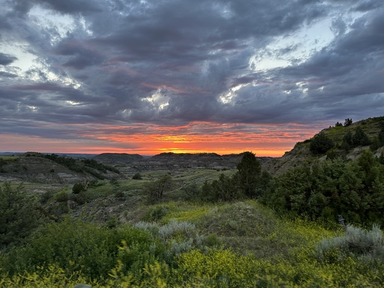Theodore Roosevelt National Patk