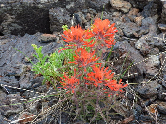 Craters of the Moon National Monument
