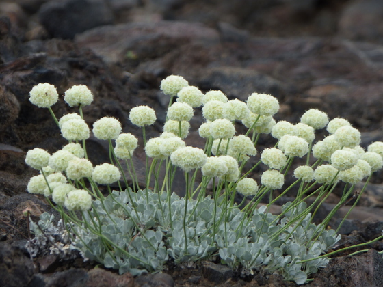 Craters of the Moon National Monument