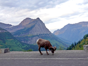 Glacier National Park