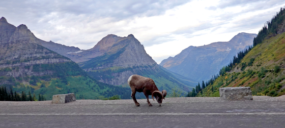 Glacier National Park