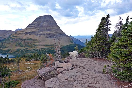 Glacier National Park