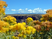 Mesa Verde National Park