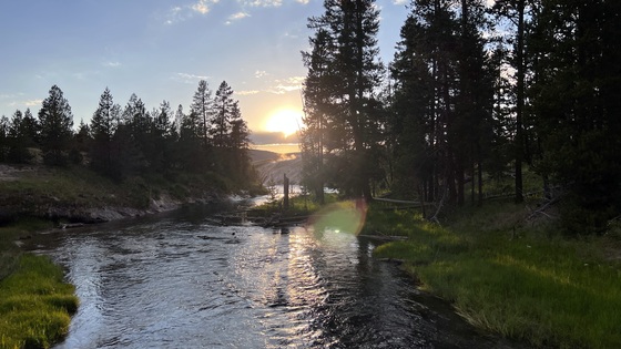 Yellowstone National Park