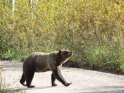 Grand Teton National Park