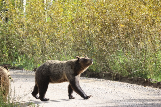 Grand Teton National Park