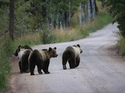 Grand Teton National Park