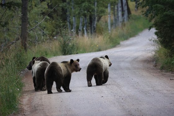 Grand Teton National Park