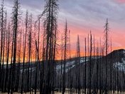 Arapaho National Forest
