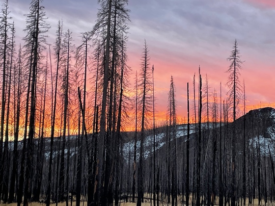 Arapaho National Forest