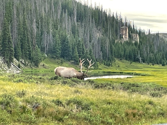 Rocky Mountain National Park