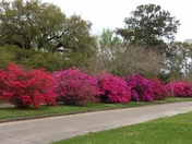Bayou Teche Region of Atchafalaya National Heritage Area