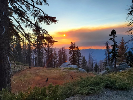 Sequoia National Park
