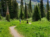 Glacier National Park 