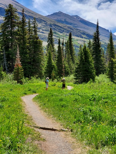 Glacier National Park 