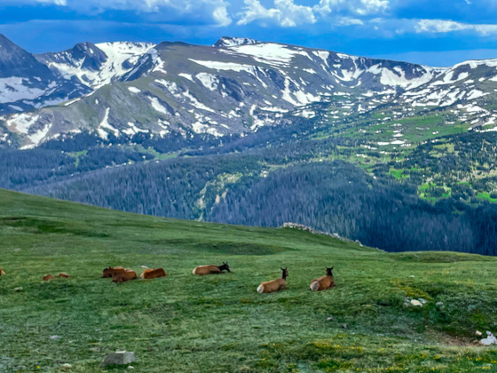 Rocky Mountain National Park 