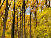 Valley Forge National Historical Park 