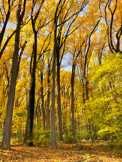 Valley Forge National Historical Park 