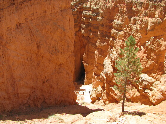 Bryce Canyon National Park