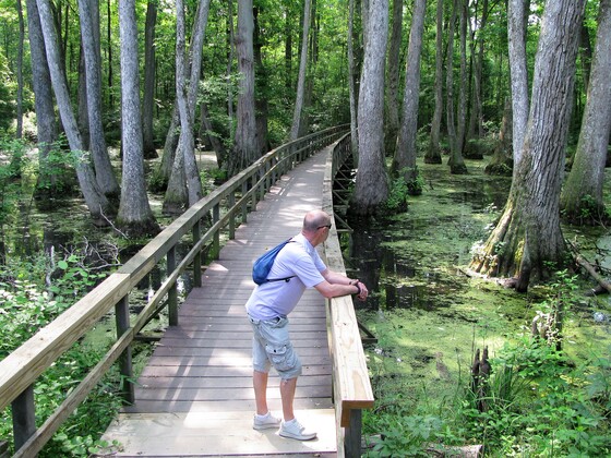 Natchez Trace Parkway