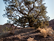 Grand Staircase Escalante National Monument