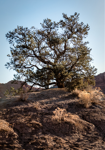 Grand Staircase Escalante National Monument