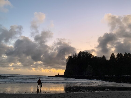 Olympic NP