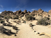 Joshua Tree National Park