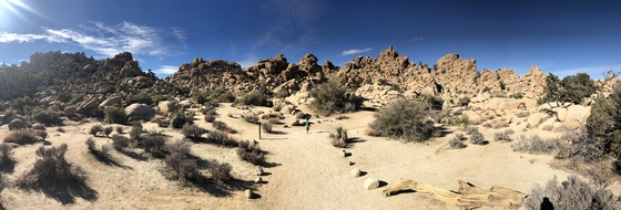 Joshua Tree National Park