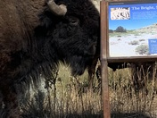 Theodore Roosevelt NP