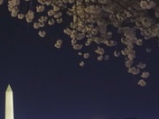 National Mall