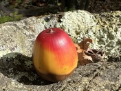 Catoctin Mountain Park