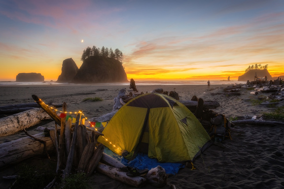 Olympic National Park 