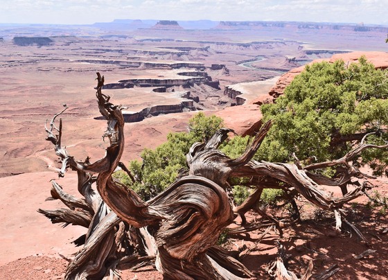 Canyonlands National Park