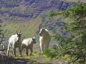 Glacier National Park