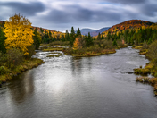 Autumn River