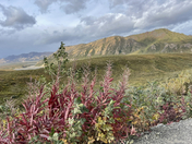 Denali National Park