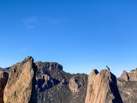 Big Bend National Park