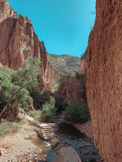 Gila National Forest