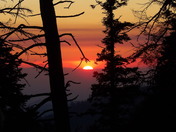 Sequoia National Park